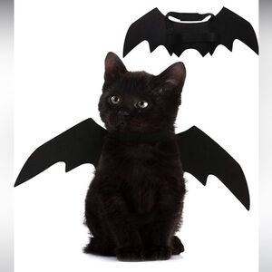Bat Wings Costume for Cat